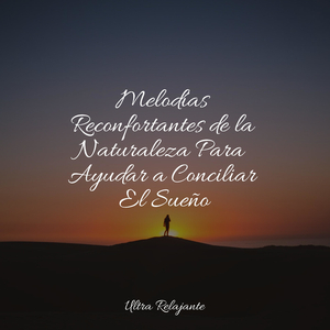 Florecimiento Del Amor