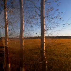 “平凡”（Prod.No Birthday）