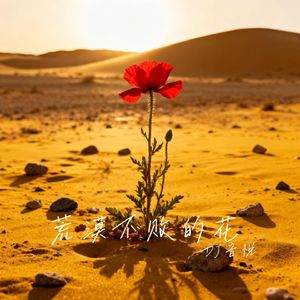 荒漠不败的花