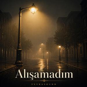Alışamadım
