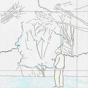 떨어지는 꽃잎을 바라보며