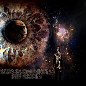 Sleepwalking Experience