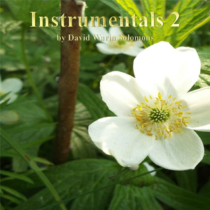 Dashing Away with the Smoothing Iron for Clarinet and Guitar