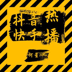 王贰浪-像鱼DJ版（苏7 remix）