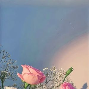 《钢琴白噪音的宁谧梦乡》