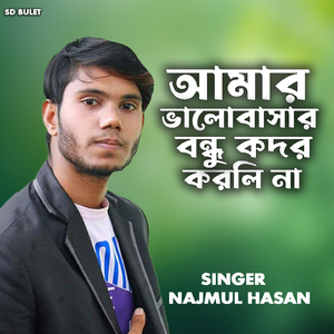 আমার ভালোবাসার বন্ধু কদর করলি না