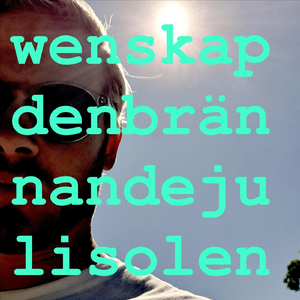 Den brännande julisolen