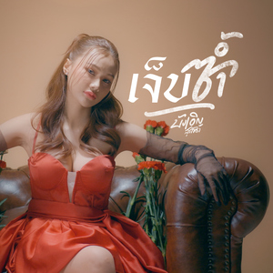 เจ็บซ้ำ