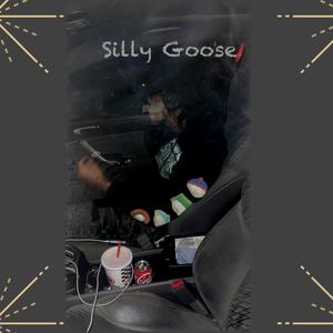 Silly Goose