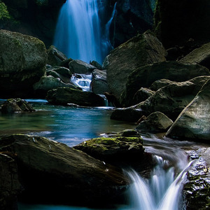 狗狗搞笑改名字