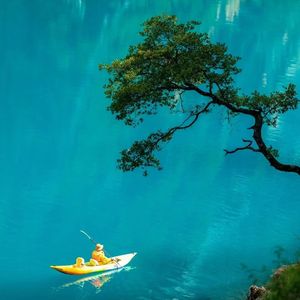 后来我们的爱-陆杰awr