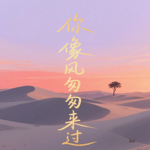 你像风匆匆来过