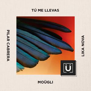 Tú Me Llevas (Alternative Version)