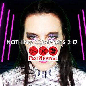 Nothing Compares 2 You