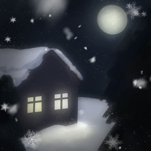 Winter night