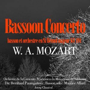 Bassoon Concerto in B flat major, K. 191: II. Andante ma adagio