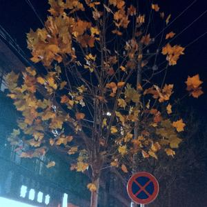 冬季清晨小随笔