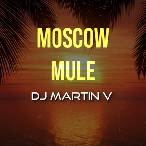 Moscow Mule (Intro Mashup) (Remix)