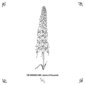 Unravel (Original Mix)