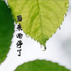 后来雨停了