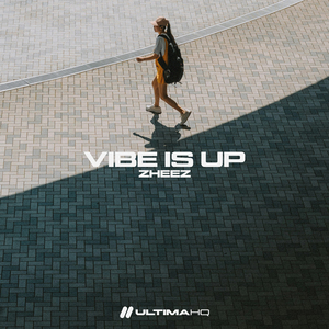 Vibe is Up