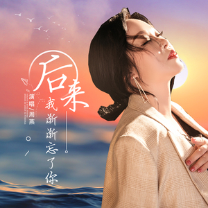 后来我渐渐忘了你