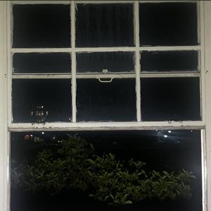 Free (Scraping Paint Off Screws) (feat. Ford Brehmer & Hamed Shadad)