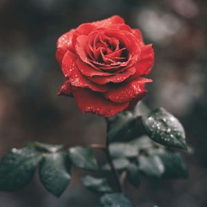 恋人之上 朋友未满