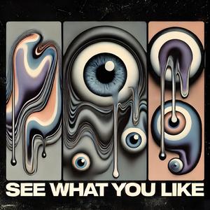 see what you like (feat. DCT The Archi7ec7)