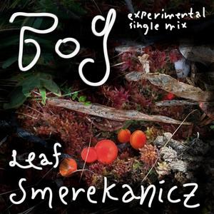 Bog