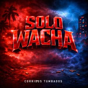 Solo Wacha