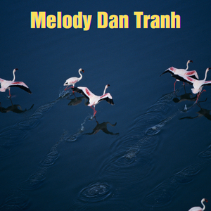 Tuy Hong Nhan (Qrinn Remix)