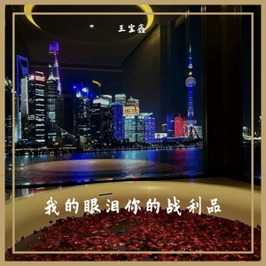 故事很短（王宝鑫 remix）