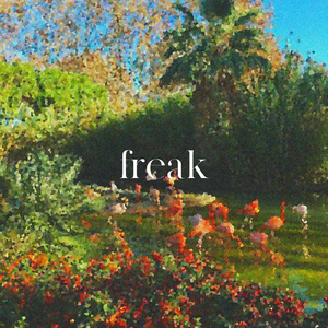 Freak