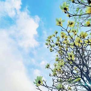 跟春天说了句拜托