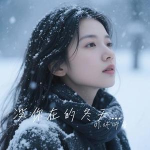 没你在的冬天雪最冷 (Cover 田园)
