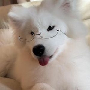 hope is a dangerous thing for a woman like me to have - but I have it (sped up)