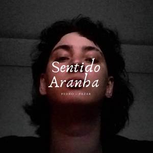 Sentido Aranha
