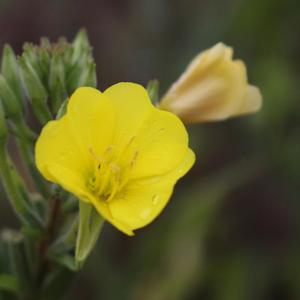 Glimpses of other realms