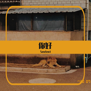 萱草花（cover 张小斐）（翻自 张小斐）（翻自 张小斐）