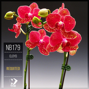 Requited (Original Mix)