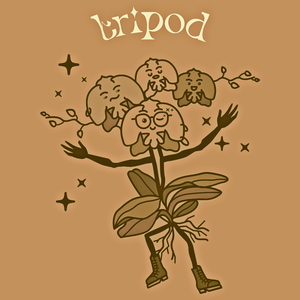 Tripod