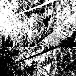 Metamorfosis
