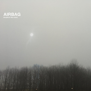 Airbag