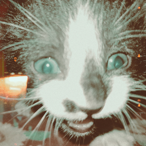 ya me dijo mi psicólogo