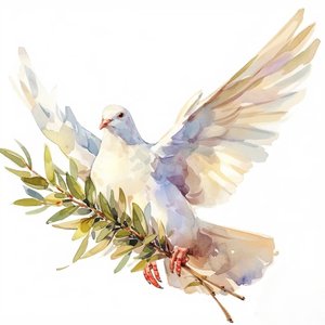 白鸽飞过带来和平希望