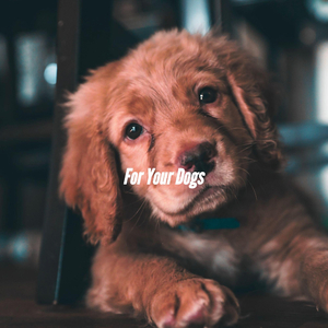 Laid-back Sweater Weathers