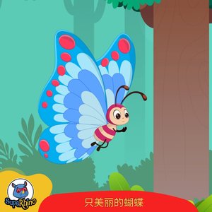 只美丽的蝴蝶