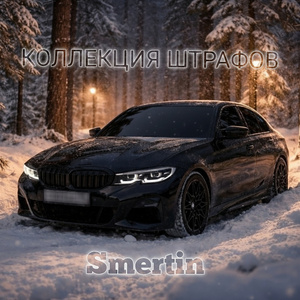 Коллекция штрафов