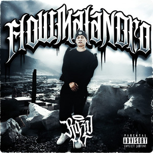 Flow Malandro